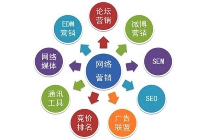 行业分析：探析海南迷迪特思纳生物科技有限公司的市场表现与发展趋势